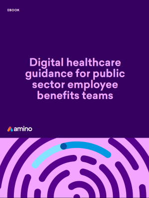 Digital Healthcare Guidance for Public Sector Empl...