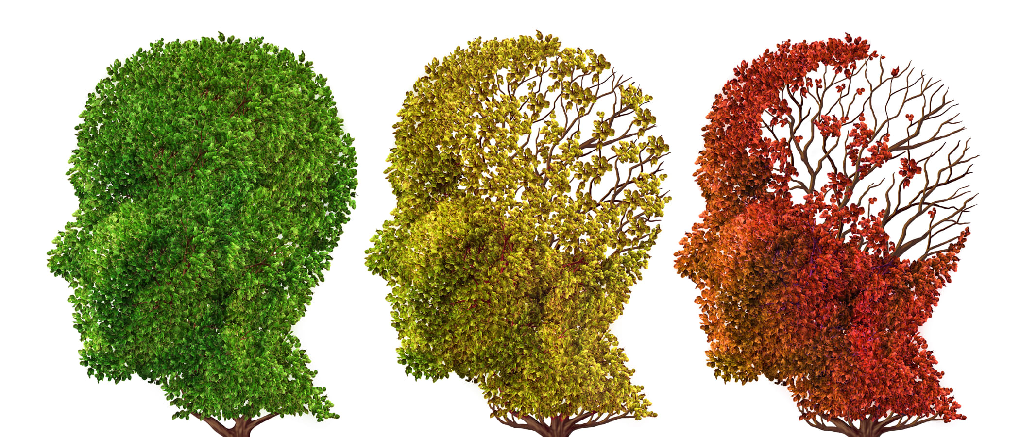 Coping with Cognitive Declines at Work