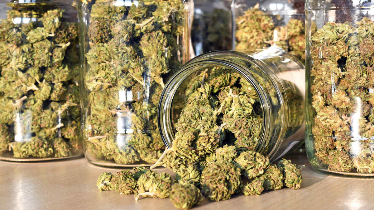 Marijuana Use Laws Budding in Virginia