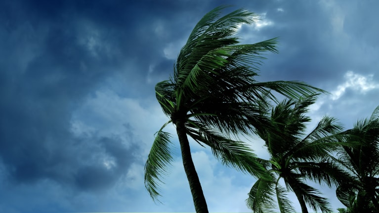 Hurricane Preparedness Resources for Employers