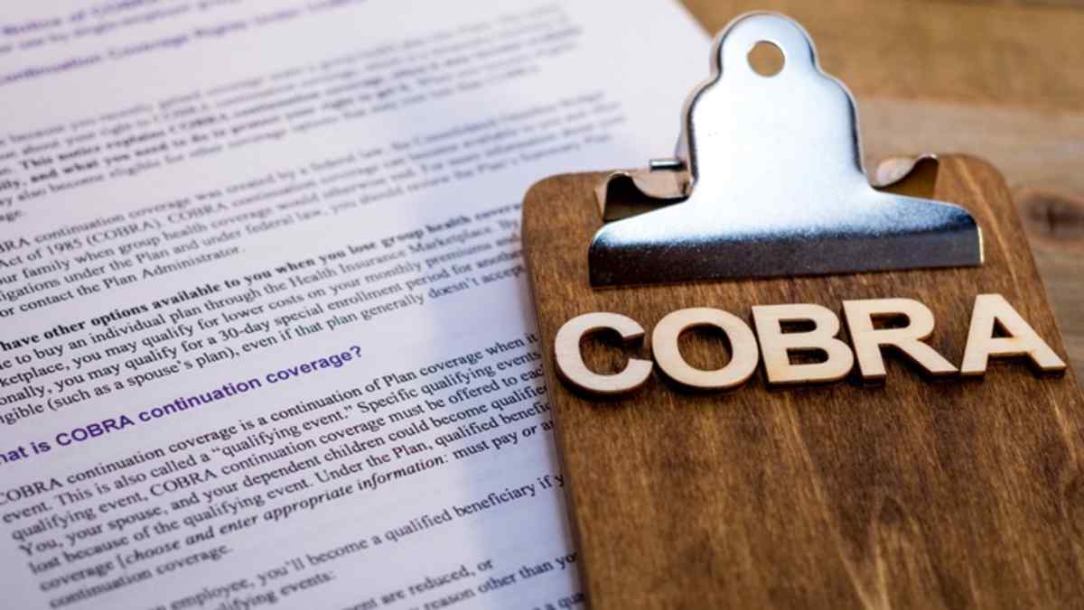 Cobra Subsidy 2021: BusinessHAB.com