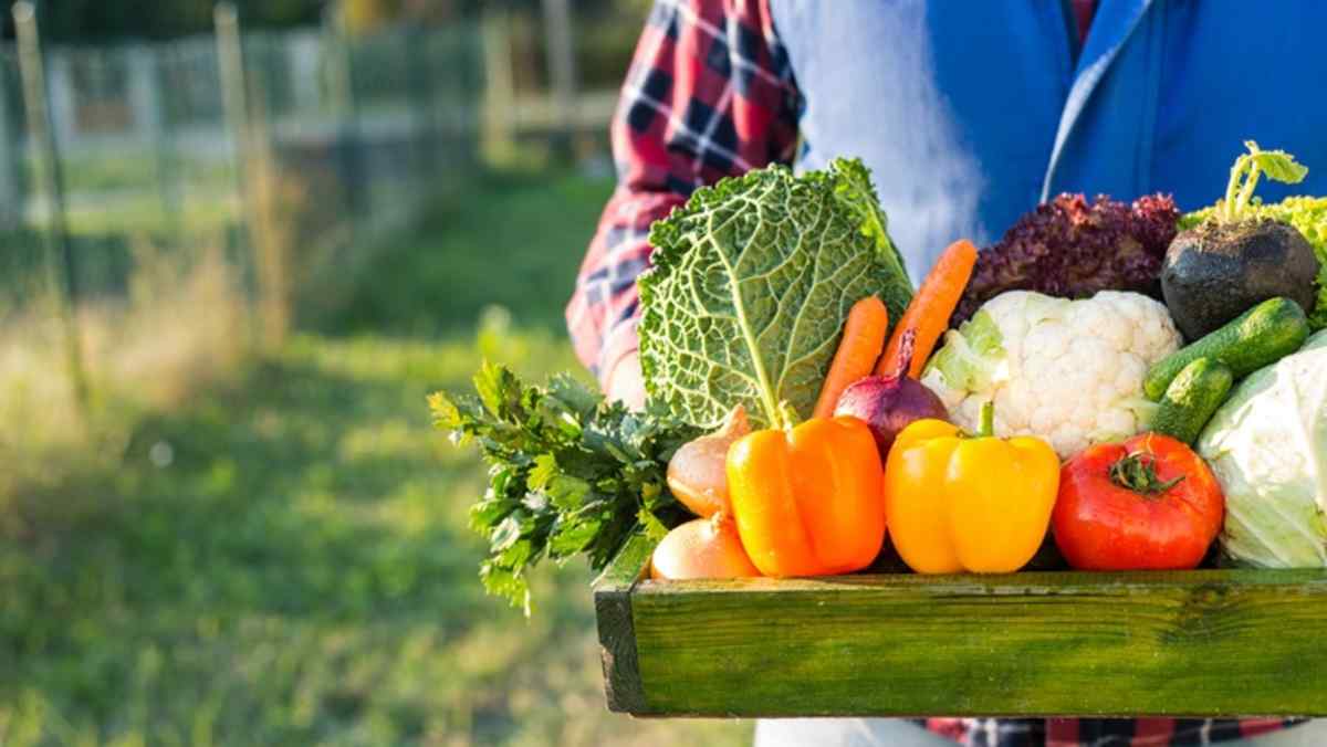 FarmtoWorksite Programs Promote Healthier Eating