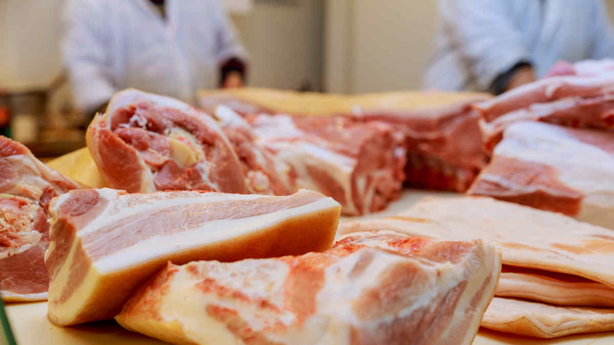 Я в мясо. Качественное мясо право. Мясоперерабатывающий завод в Африке. Гигиена питания качество мяса. ООО Северодвинский мясокомбинат продукция
