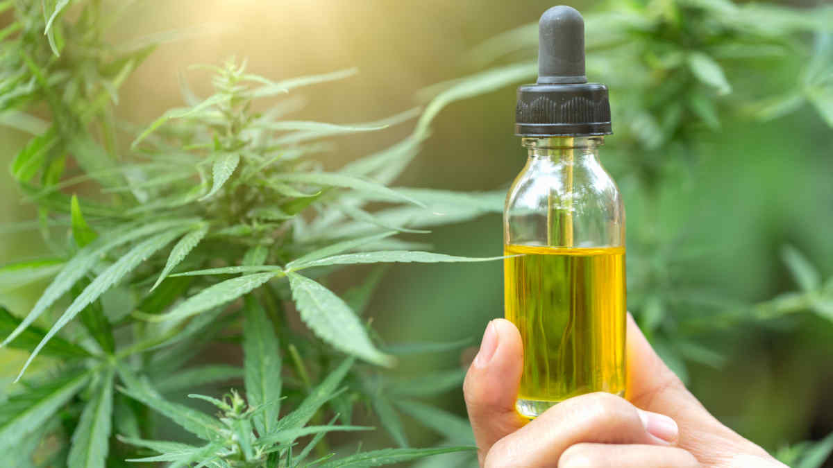 CBD Oil vs. Hempseed Oil: What's the ...healthline.com