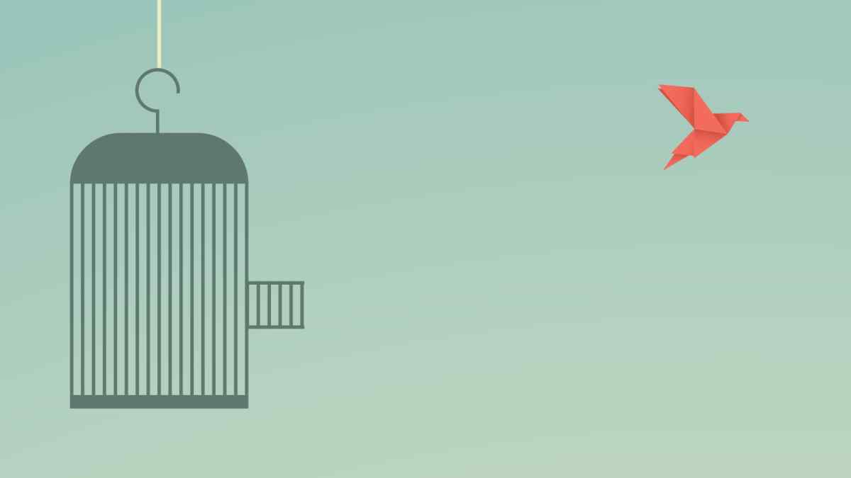 Life After The Lockdown