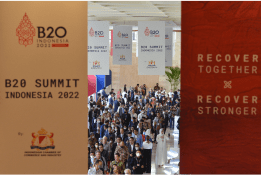 B20 Summit in Indonesia