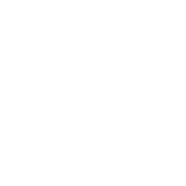 Cause The Effect - SHRM22